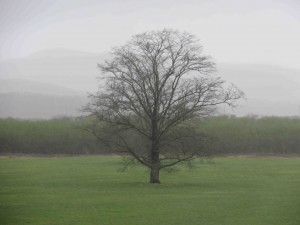 IMG_6808HP