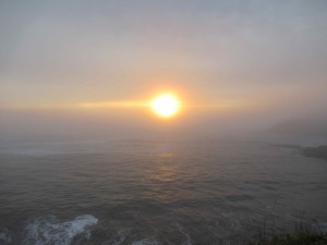 IMG_6857HP