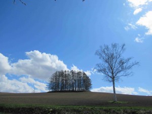 IMG_7053HP